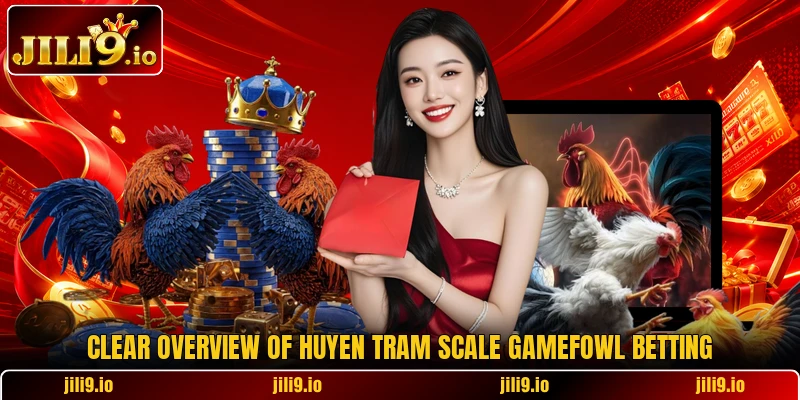 Clear overview of Huyen Tram scale gamefowl betting Clear overview of Huyen Tram scale gamefowl betting
