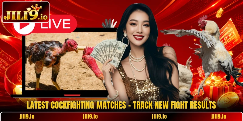 Latest Cockfighting Matches - Track New Fight Results