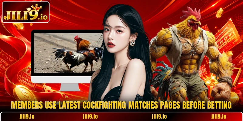 Members use Latest cockfighting matches pages before betting Members use Latest cockfighting matches pages before betting